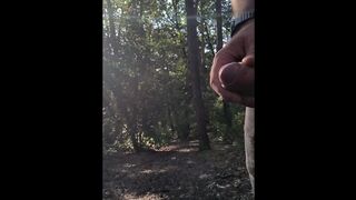 Pop-shot in the middle of the forrest