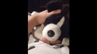 POINT OF VIEW Plushie Border Collie Makes Onesie Puppy Spunk!