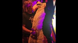 Eyes covered Canine edged by Dad Hunk until he finishes off