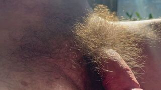 Hairy DILFs Cuddling in the morning sun