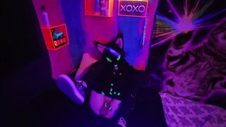 Alleycat rubs off with fresh plaything