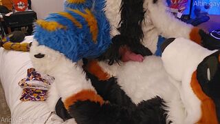 Fat mutt trains the lil' kitten how to sit #node #knotfucking