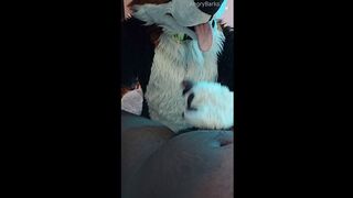 Hairy Puppy Voz makes a dirt out of SJ