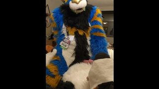 supreme kitten ravages the spunk out of the bad mutt then spunks no-forearms